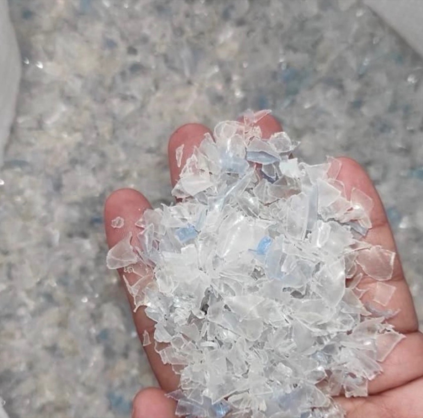 A handful of clear hot-washed rPET flakes